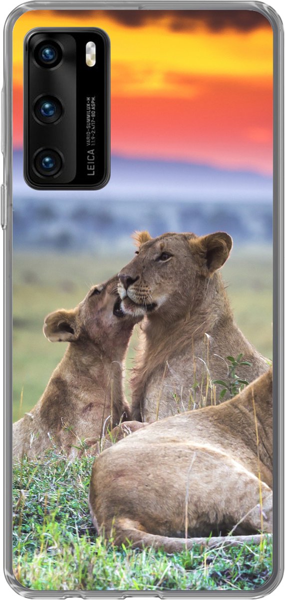 Telefoonhoesje Geschikt voor Huawei P40 hoesje - Leeuwen tijdens zonsopkomst - Siliconen Telefoonhoesje Telefoonhoesje