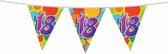 vlaggenlijn multicolor 18 jaar 10 meter