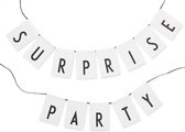 Design Letters - Bunting Happy birthday / Surprise party - Drapeaux rose