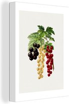 Tableau sur toile Raisins - Feuilles - Nourriture - 60x80 cm - Décoration murale