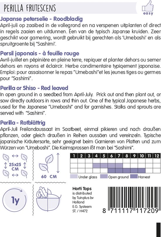Hortitops Zaden - Japanse peterselie - Roodbladig (Shiso)