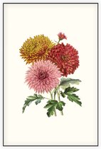 Chrysanten Aquarel (Chrysanthemum) - Foto op Akoestisch paneel - 80 x 120 cm