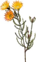 Kunstbloem Phaenocoma geel/oranje 61 cm