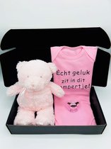 kraamcadeau beer romper en speen - keuze uit 3 rompers - roze kraampakket - rechtstreeks opsturen met boodschap mogelijk