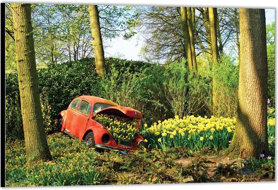 Dibond –Rode Auto vol met Gele Bloemen– 120x80 Foto op Aluminium (Met Ophang)