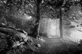 JJ-Art (Aluminium) 60x40 | Bospad in de mist in zwart wit Fine Art | Nederland, landschap, bos, bomen, pad, natuur | Foto-Schilderij print op Dibond / Aluminium (metaal wanddecorat