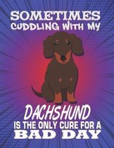 Sometimes Cuddling With My Dachshund Is The Only Cure For A Bad Day