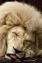 Lion Carnet de notes: Journal A5 lign� original de 119 pages- Une belle id�e de cadeau pour les amoureux des animaux