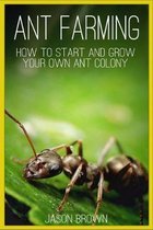 Ant Farming: How to Start and Grow Your Own Ant Colony