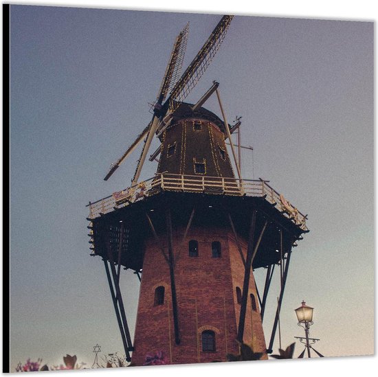 Dibond –Molen met Paarse Bloemetjes op de Voorgrond-100x100 Foto op Aluminium (Met ophang)