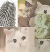 Verzorgingsborstel Katten - Katten Massage Borstel - Zelf Verzorgende Borstel Voor Op Wand - Pluizenborstel Kat -Blauw