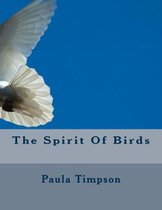 The Spirit Of Birds