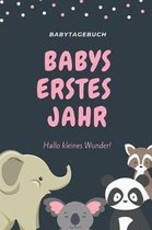 Babytagebuch Babys Erstes Jahr Hallo Kleines Wunder