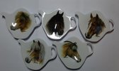 5 theezakhouders paard
