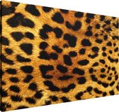Tijgerprint canvasdoek - 60 x 40 x 4 cm