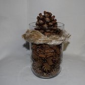 ZoeZo Design - Glazen vaas met dennenappels - kaneelstokjes en decoratie - 100% natuurproduct - H 21 x Ø 14 cm - herfst - seizoendecoratie