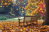 Tuinposter| Houten Bank In Herfstbos 120cm X 80cm – Tuinposter Voor Buiten / Buitencanvas/ Spandoek (tuindecoratie) + Ringen Om De 50cm