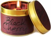 Lily Flame Black cherry geurkaars