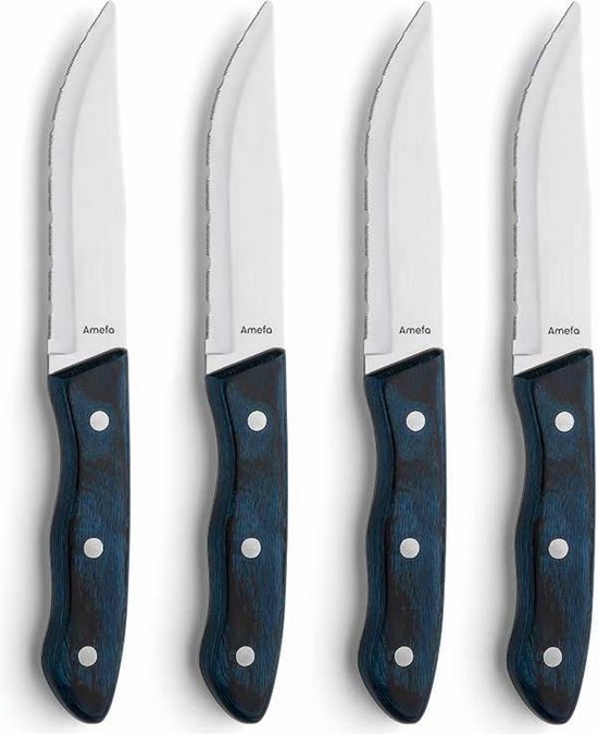 Amefa Hercule 4 delige steakmessenset blauw