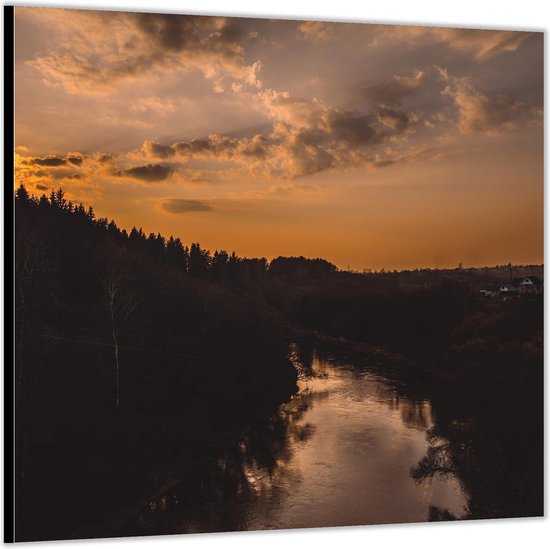 Dibond –Bos bij de Zonsondergang met Rivier– 100x100 Foto op Aluminium (Met ophangl)