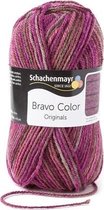 Schachenmayr Bravo Color 50 Gram - 2088