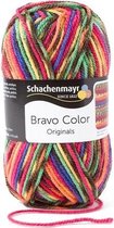 Schachenmayr Bravo Color 50 Gram - 2085