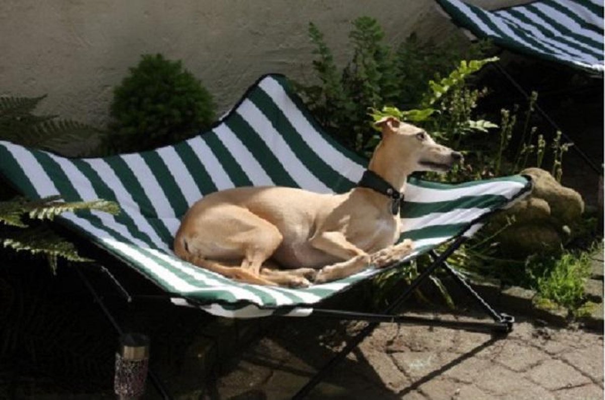 Hondenstretcher Outdoor antraciet S, 89 X 61 cm | Boss&Dog