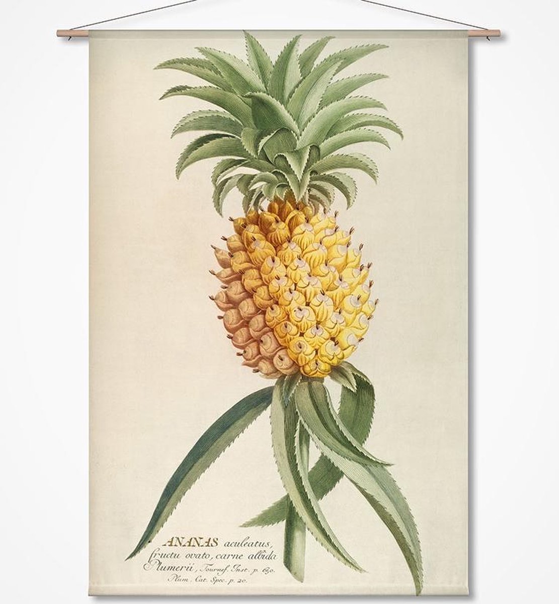 Naturalis Unlimited Wandkleed Ananas geel