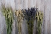 Gemengde bos droogbloemen - 4 soorten - 50CM - Lavendel, Gerst, Tarwe en Phalaris.