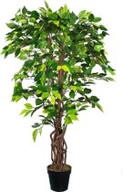 Kunstplant Ficus Groen H125cm - HTT Decorations