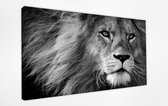 Braveprint - Schilderij - Leeuw In % Uitgerekt Het Hoge Kwaliteit. Muurhanger Wordt Geïnstalleerd. - Zwart En Wit - 60 X 90 Cm