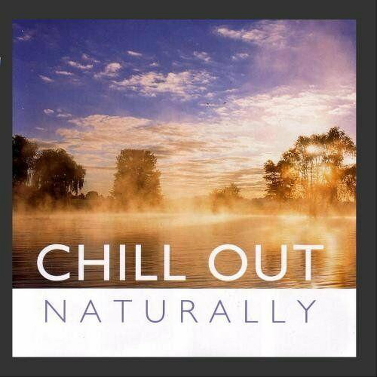 Global Journey - Chill Out Naturally - Div. Art.