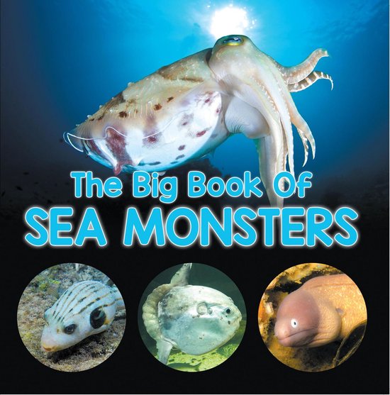 Children's Fish & Marine Life Books - The Big Book Of Sea Mo ... - cover