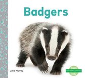 Badgers
