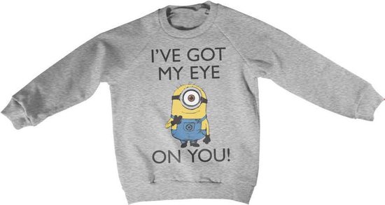 Minions Sweater/trui kids -Kids tm 10 jaar- I Got My Eye On You Grijs