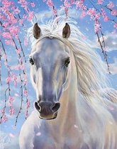 Diamond Painting 30 x 40 Paard - Pakket voor Volwassen en Kinderen Paarden – Volledig Inclusief Accessoires - Pen - Schudbakje - Wax - Schilderij - Ronde Diamantjes