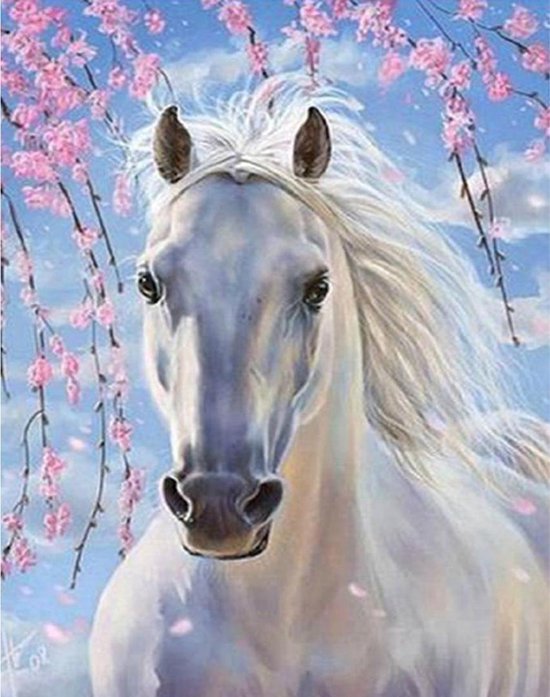 Diamond Painting 30 40 Paard - Pakket voor en Kinderen Paarden – Volledig... | bol.com