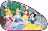 Disney Princess zonnescherm