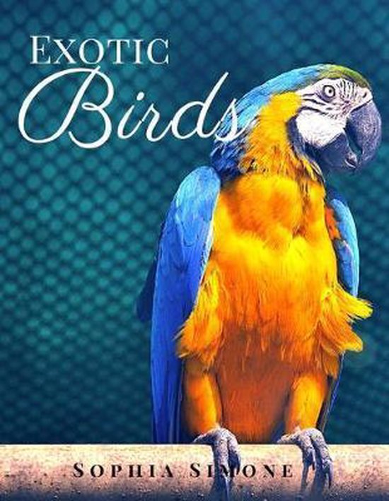 Exotic Birds, Sophia Simone 9781701471818 Boeken