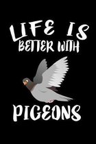 Life Is Better With Pigeons: Animal Nature Collection