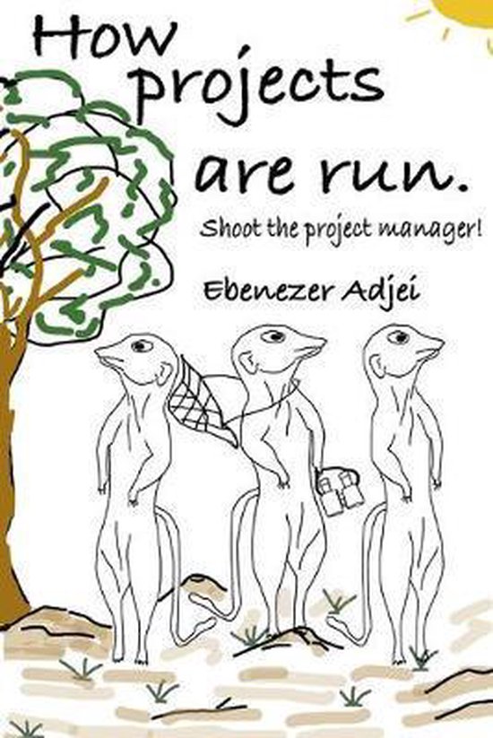 How projects are run - cover