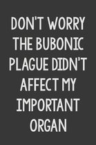 Don't Worry The Bubonic Plague Didn't Affect My Important Organs: Stiffer Than A Greeting Card
