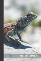 Agama Lizard: small lined Lizard Notebook / Travel Journal to write in (6'' x 9'') 120 pages
