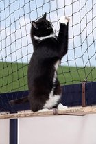 Kattenbeschermnet - Kattennet - Kleur: Zwart Afmetingen: 2X6 Meter