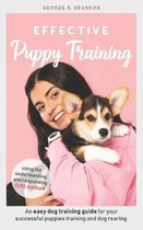 Effective Puppy Training