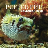 Puffer Fish Calendar 2020