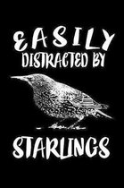 Easily Distracted By Starlings: Animal Nature Collection