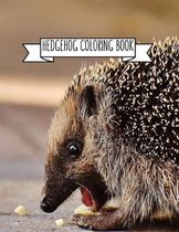 Hedgehog Coloring Book