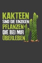Kakteen sind die einzigen Pflanzen die bei mir uberleben