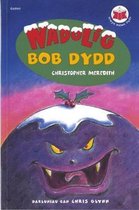 Cyfres Trwyn Mewn Llyfr: Nadolig Bob Dydd